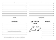 Maus-Faltbuch-vierseitig.pdf